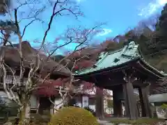 海蔵寺(神奈川県)