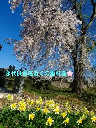 上合寺(福島県)