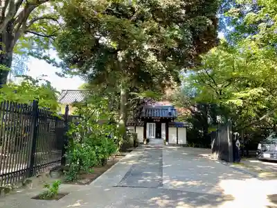 見性寺(東京都)