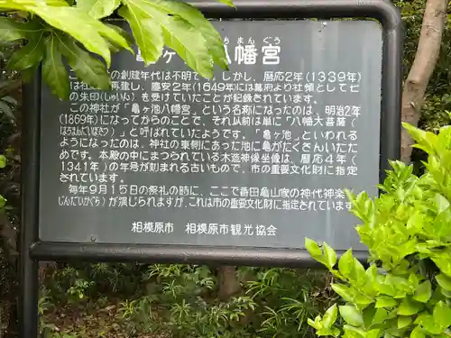 亀ケ池八幡宮(神奈川県)