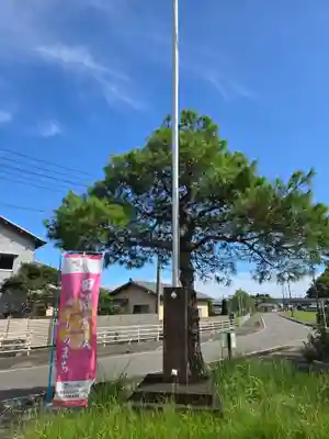 櫻宮神社(静岡県)