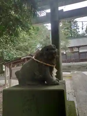 出雲祝神社の狛犬