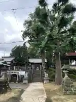 多賀神社(宮城県)