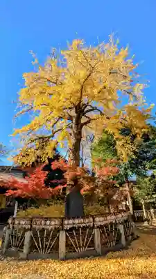 七社神社の自然