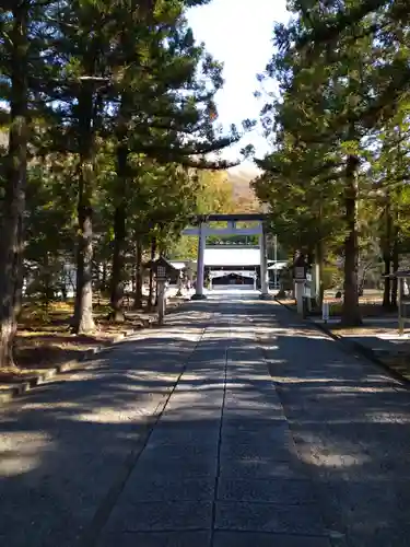 山梨縣護國神社の鳥居