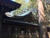 大麻比古神社の本殿・本堂