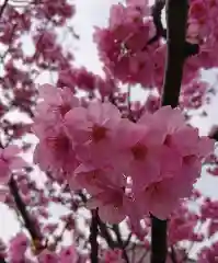 阿邪訶根神社の自然