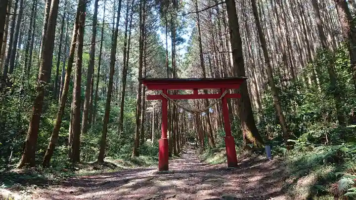 羽黒山神社の鳥居