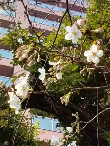 池尻稲荷神社(東京都)