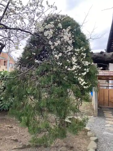 薬師院(神奈川県)