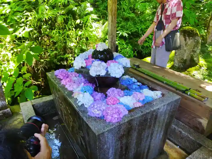 観音寺(京都府)