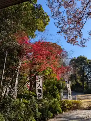 阿佐ヶ谷神明宮(東京都)