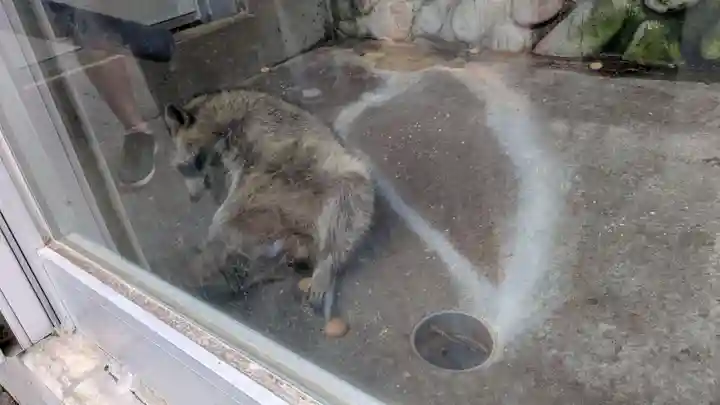 羆神社(北海道)
