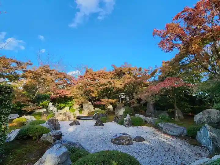 将軍塚青龍殿(青蓮院門跡)の庭園