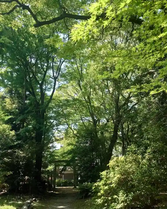 漆部神社(愛知県)