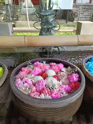 津島神社の手水舎