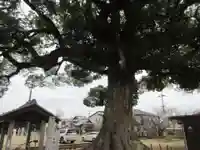 長尾寺(香川県)