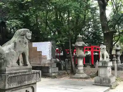 闇之森八幡社の狛犬