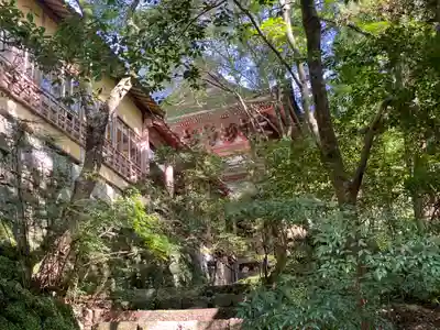 柞原八幡宮(大分県)