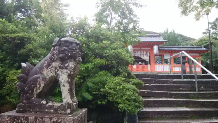 宇治神社の狛犬