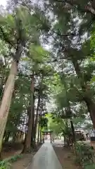 八幡神社の鳥居