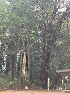 早池峰神社(岩手県)