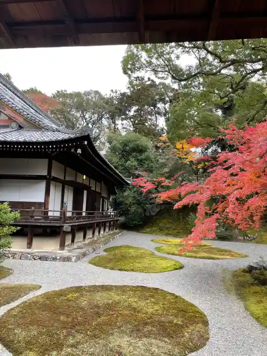 醍醐寺(京都府)