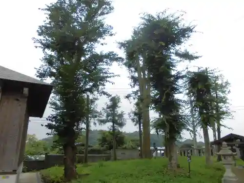 三島神社の自然