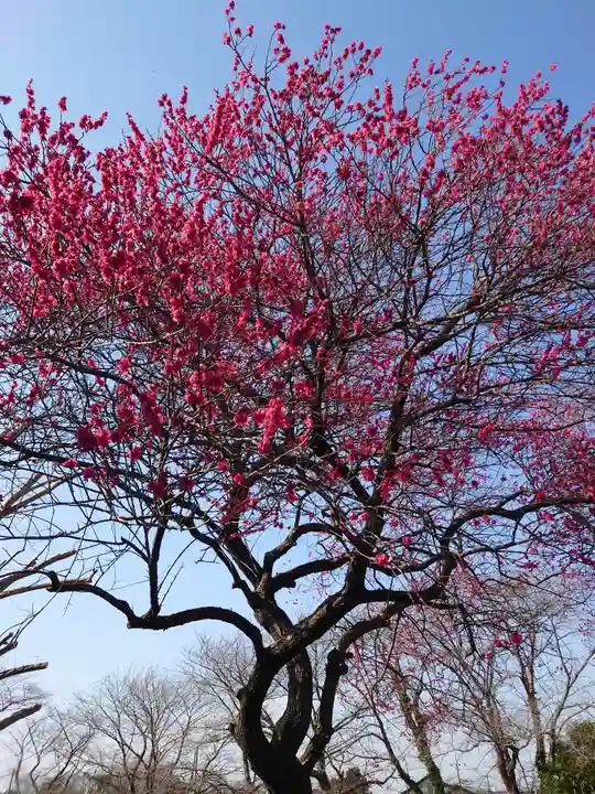 宗仲寺(神奈川県)
