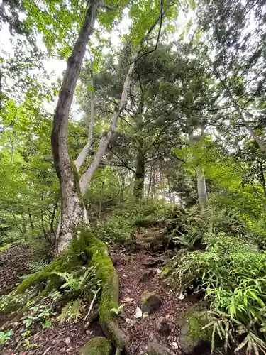護国観音（大渕寺）(埼玉県)