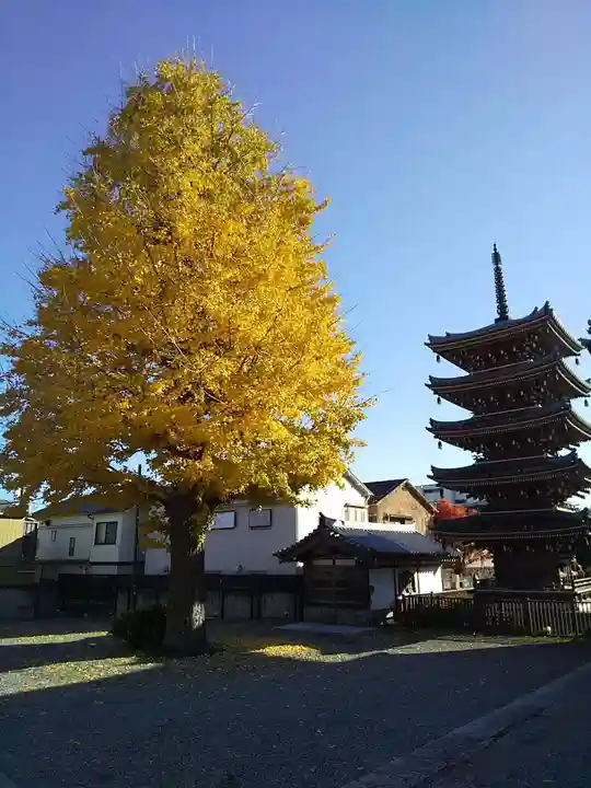光徳院のその他建物