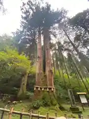 御岩神社の自然