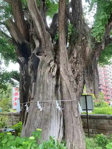 磐井神社(東京都)
