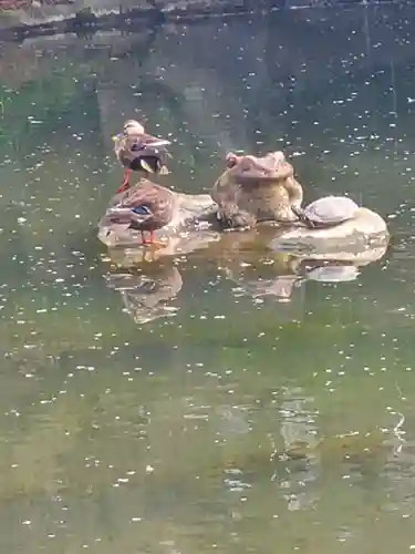珊瑚寺(群馬県)