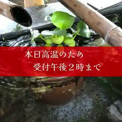 高司神社〜むすびの神の鎮まる社〜(福島県)