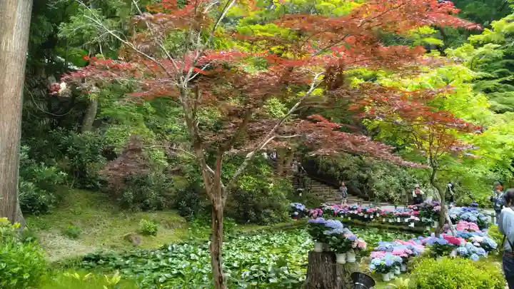 室生寺(奈良県)