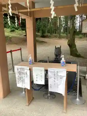 伊波乃西神社の感染症対策