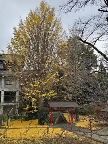 菅原神社(東京都)