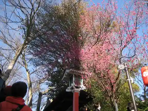 田無神社(東京都)