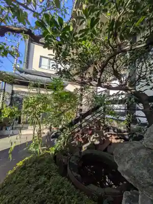 宗恩寺(東京都)