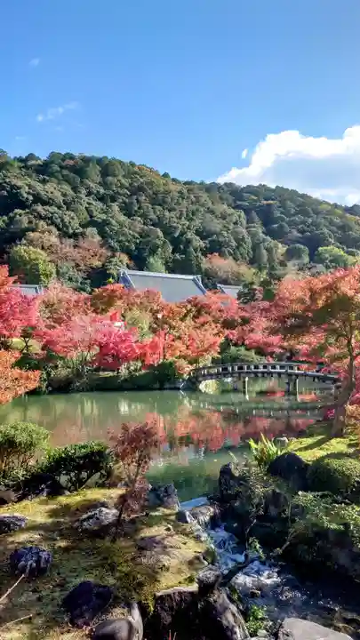 禅林寺(永観堂)(京都府)