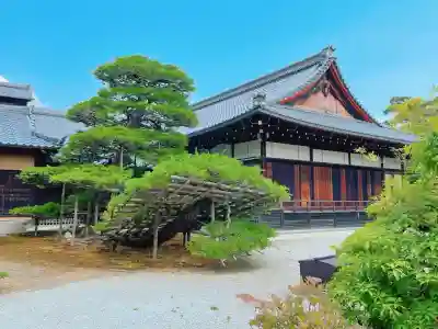鹿苑寺（金閣寺）(京都府)