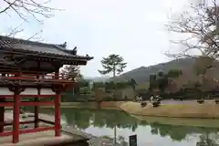 平等院の庭園