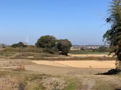 堀内神社(千葉県)