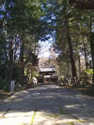妙安寺(東京都)