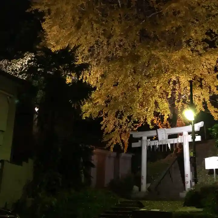 水神社の自然