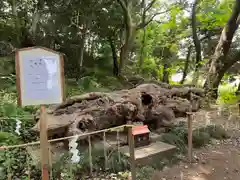 泉神社(茨城県)