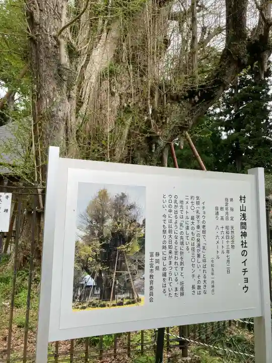 村山浅間神社の{uncategorized: "未分類", other: "その他", undefined: "問題あり", building: "その他建物", grave: "お墓", sacred_gate: "鳥居", guardian: "狛犬", statue: "像", buddha: "仏像", history: "歴史", nature: "自然", garden: "庭園", animal: "動物", pagoda: "塔", temizu: "手水舎", mountain_gate: "山門・神門", sanctuary: "本殿・本堂", subordinate: "末社・摂社", art: "芸術", scenery: "景色", jizo: "地蔵", ema: "絵馬", goshuin: "御朱印", omikuji: "おみくじ", items: "授与品その他", amulet: "お守り", goshuincho: "御朱印帳", eats: "食事", festival: "お祭り", votive_dance: "神楽", shichigosan: "七五三参", wedding: "結婚式", experience: "体験その他", initially: "初詣", around: "周辺", anti_infection: "感染症対策"}