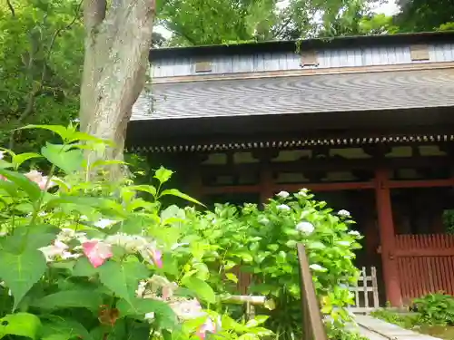 妙法寺の山門