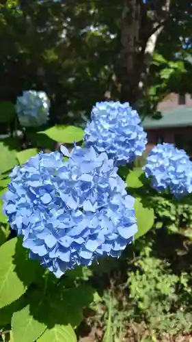 相馬神社の自然